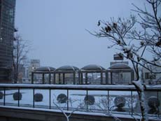 �H�����L��