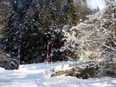 �É�������ւ̓�_2