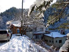 �É�������