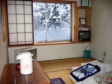 �É�������q��