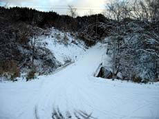 �Ìy���̑�w�O